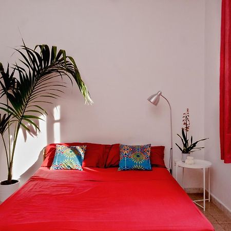 パレルモ 13 Open House Bed & Breakfast エクステリア 写真