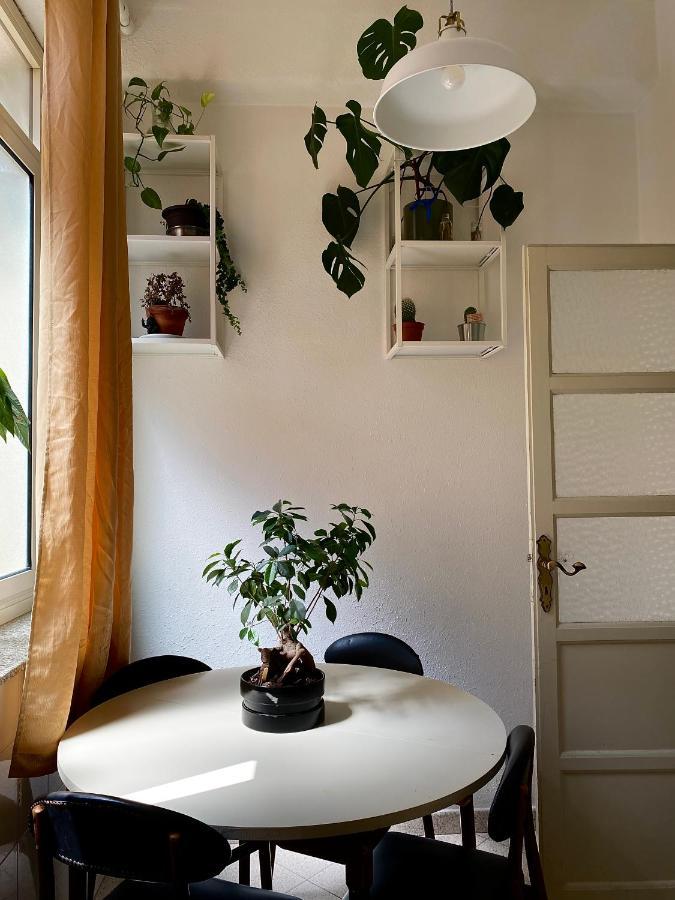 パレルモ 13 Open House Bed & Breakfast エクステリア 写真